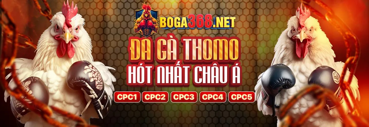 Giao Diện Thân Thiện, Trải Nghiệm Mượt Mà